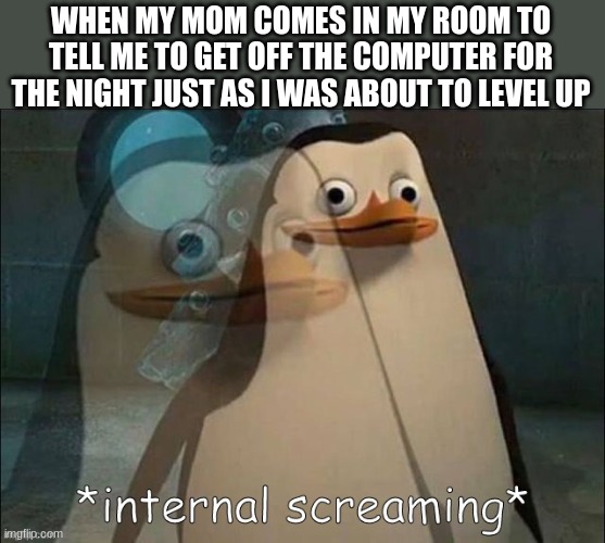 is this relatable | WHEN MY MOM COMES IN MY ROOM TO TELL ME TO GET OFF THE COMPUTER FOR THE NIGHT JUST AS I WAS ABOUT TO LEVEL UP | image tagged in private internal screaming | made w/ Imgflip meme maker