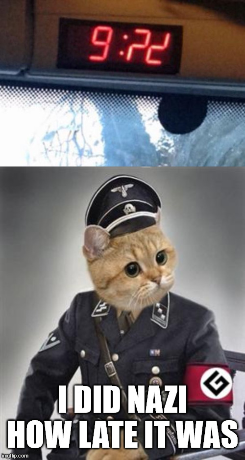 I DID NAZI HOW LATE IT WAS | image tagged in grammar nazi cat | made w/ Imgflip meme maker