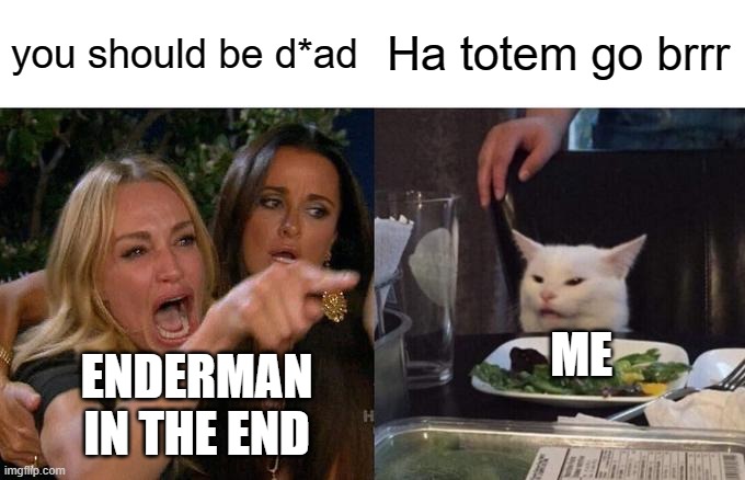 minecraft meme |  you should be d*ad; Ha totem go brrr; ME; ENDERMAN IN THE END | image tagged in memes,woman yelling at cat | made w/ Imgflip meme maker