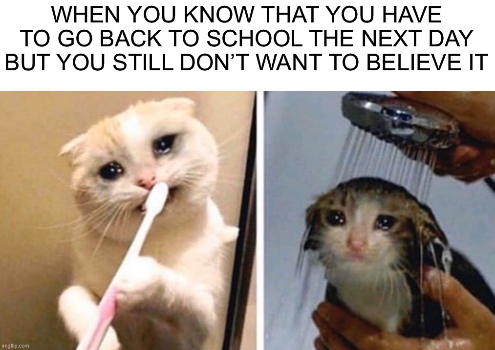 True though | WHEN YOU KNOW THAT YOU HAVE TO GO BACK TO SCHOOL THE NEXT DAY BUT YOU STILL DON’T WANT TO BELIEVE IT | image tagged in memes,funny,relatable | made w/ Imgflip meme maker