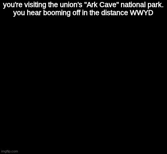 WWYD | you're visiting the union's "Ark Cave" national park.
you hear booming off in the distance WWYD | image tagged in blank black,roleplaying | made w/ Imgflip meme maker