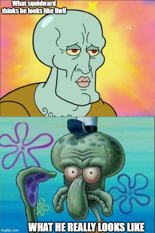 Squidward meme | What squidward thinks he looks like UwU; WHAT HE REALLY LOOKS LIKE | image tagged in memes,squidward | made w/ Imgflip meme maker