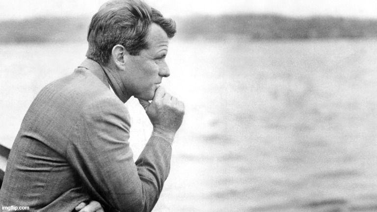 Robert Kennedy | image tagged in robert kennedy | made w/ Imgflip meme maker