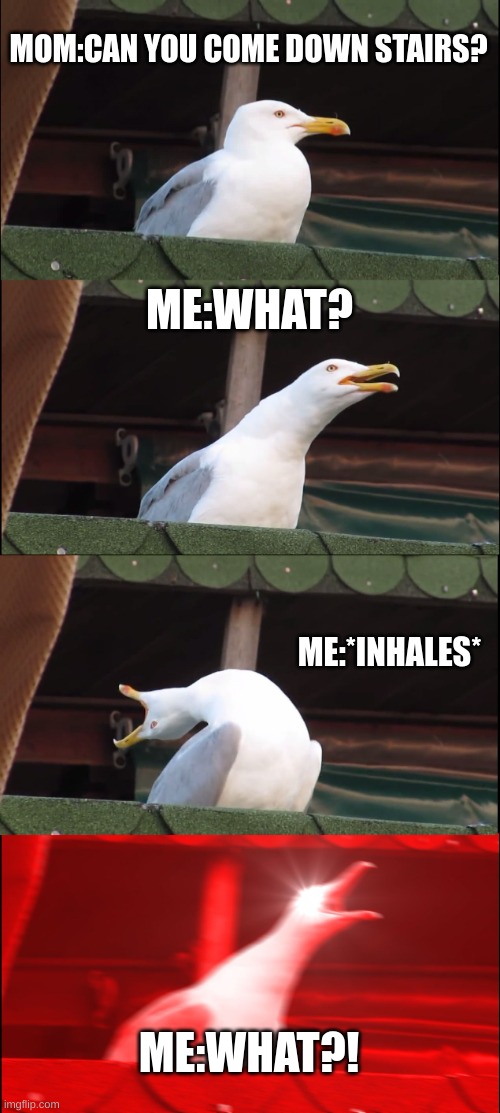 Inhaling Seagull | MOM:CAN YOU COME DOWN STAIRS? ME:WHAT? ME:*INHALES*; ME:WHAT?! | image tagged in memes,inhaling seagull | made w/ Imgflip meme maker