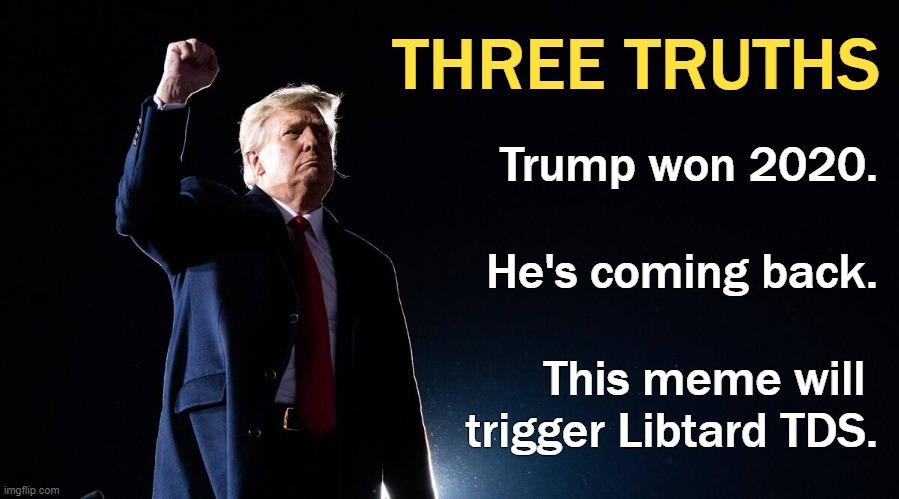Election 2020 will be overturned and America will be saved. | THREE TRUTHS; Trump won 2020. He's coming back. This meme will 
trigger Libtard TDS. | image tagged in trump 2020 | made w/ Imgflip meme maker