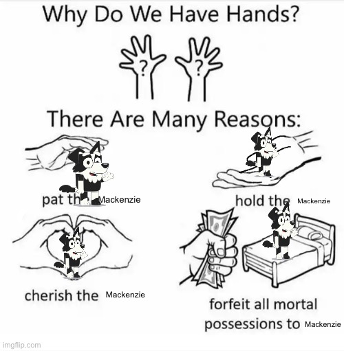Why do we have hands? (all blank) | Mackenzie; Mackenzie; Mackenzie; Mackenzie | image tagged in why do we have hands all blank | made w/ Imgflip meme maker