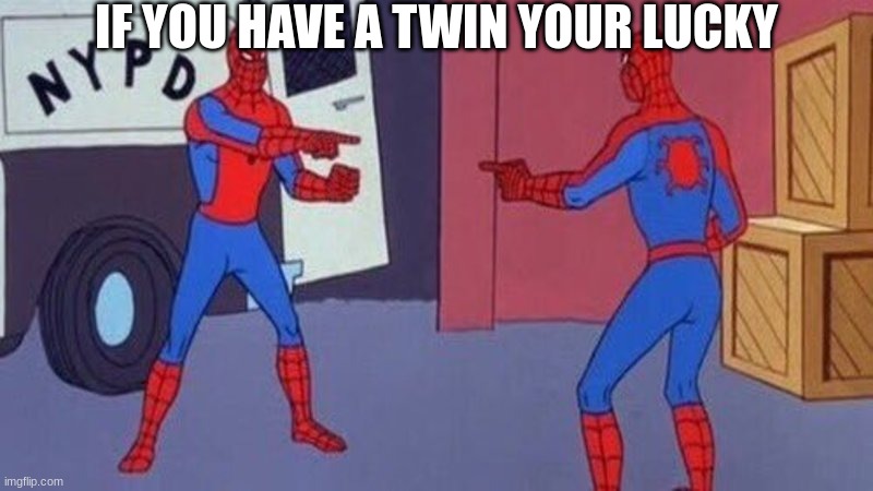 spiderman pointing at spiderman | IF YOU HAVE A TWIN YOUR LUCKY | image tagged in spiderman pointing at spiderman | made w/ Imgflip meme maker