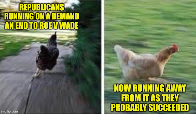 Remember this is the prolife, pro capital punishment, pro gun violence, pro pandemic crowd. | REPUBLICANS RUNNING ON A DEMAND AN END TO ROE V WADE; NOW RUNNING AWAY FROM IT AS THEY PROBABLY SUCCEEDED | image tagged in running chicken | made w/ Imgflip meme maker