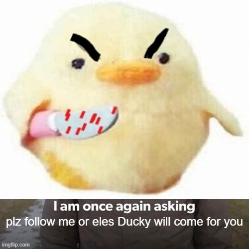 Here is number 5 meme | plz follow me or eles Ducky will come for you | image tagged in duck | made w/ Imgflip meme maker