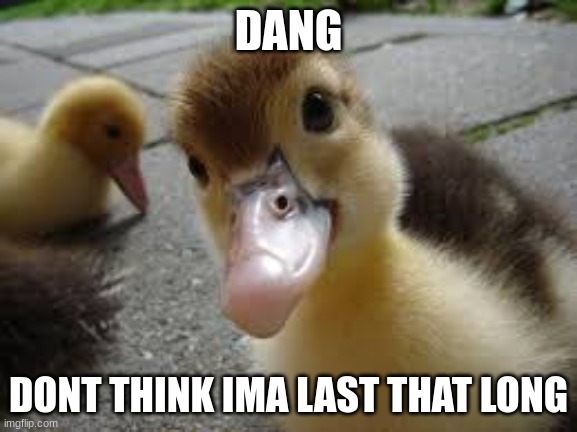 Dang Duck | DANG DONT THINK IMA LAST THAT LONG | image tagged in dang duck | made w/ Imgflip meme maker