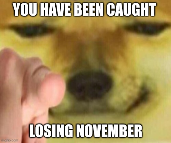 Cheems Pointing At You | YOU HAVE BEEN CAUGHT; LOSING NOVEMBER | image tagged in cheems pointing at you | made w/ Imgflip meme maker