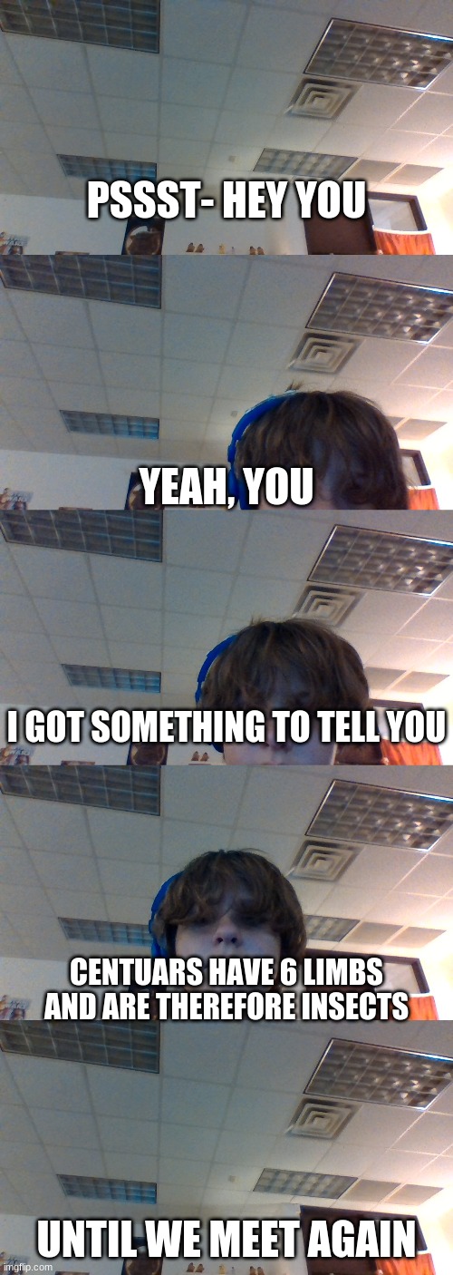 bluehonu has something to say | PSSST- HEY YOU; YEAH, YOU; I GOT SOMETHING TO TELL YOU; CENTUARS HAVE 6 LIMBS AND ARE THEREFORE INSECTS; UNTIL WE MEET AGAIN | image tagged in bluehonu has something to say | made w/ Imgflip meme maker