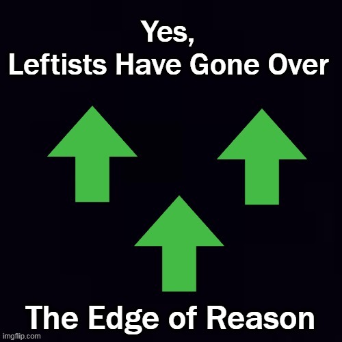 Yes, 
Leftists Have Gone Over The Edge of Reason | made w/ Imgflip meme maker