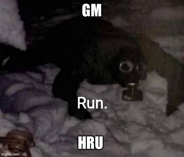 Run. | GM; HRU | image tagged in run | made w/ Imgflip meme maker