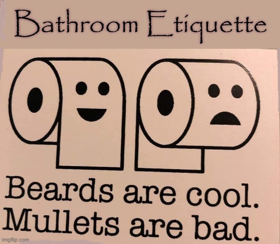 Beard or Mullet ? | Bathroom Etiquette | image tagged in toilet humor | made w/ Imgflip meme maker