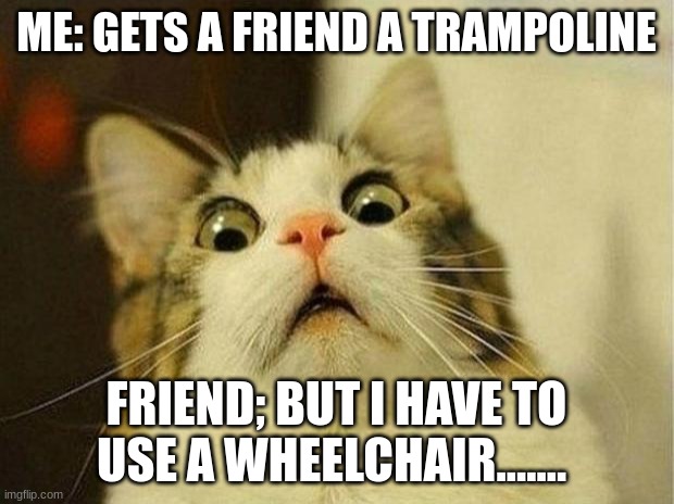 Scared Cat | ME: GETS A FRIEND A TRAMPOLINE; FRIEND; BUT I HAVE TO USE A WHEELCHAIR....... | image tagged in memes,scared cat | made w/ Imgflip meme maker