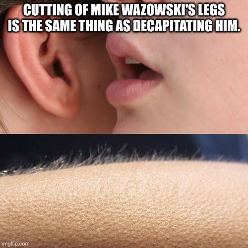 Whisper and Goosebumps | CUTTING OF MIKE WAZOWSKI'S LEGS IS THE SAME THING AS DECAPITATING HIM. | image tagged in whisper and goosebumps | made w/ Imgflip meme maker