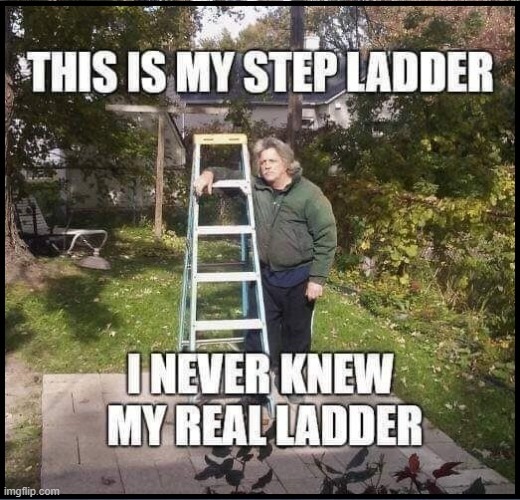 Too bad! It would have prepared you to reach shorter heights | image tagged in vince vance,ladders,memes,step ladder,construction worker,hardware | made w/ Imgflip meme maker