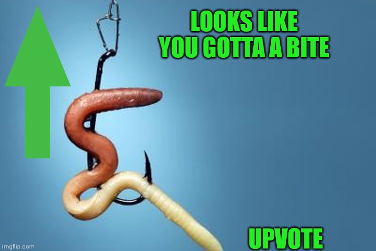LOOKS LIKE YOU GOTTA A BITE UPVOTE | made w/ Imgflip meme maker