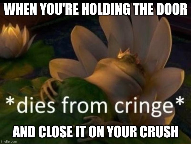 *drinks from a cup of bottled pain* | WHEN YOU'RE HOLDING THE DOOR; AND CLOSE IT ON YOUR CRUSH | image tagged in dies of cringe,crush | made w/ Imgflip meme maker