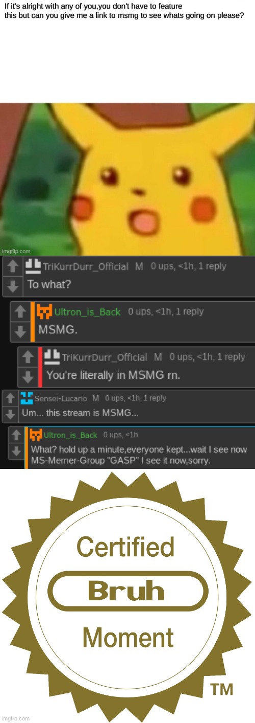 -_- (not making fun of you this is just really funny-) (Image deleted so I can't give you the link) | image tagged in certified bruh moment | made w/ Imgflip meme maker
