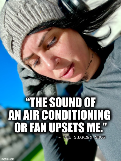 PTSD | “THE SOUND OF AN AIR CONDITIONING 
OR FAN UPSETS ME.”; - THE SHAREEN SHOW | image tagged in ptsd,abuse,child abuse,women rights,mental health,suicide | made w/ Imgflip meme maker