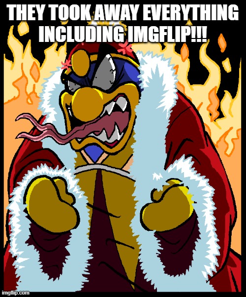 King Dedede angry | THEY TOOK AWAY EVERYTHING INCLUDING IMGFLIP!!! | image tagged in king dedede angry | made w/ Imgflip meme maker