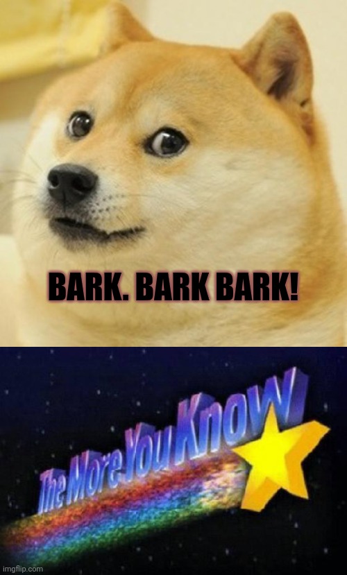 Fun doge facts! | BARK. BARK BARK! | image tagged in memes,doge,the more you know,fun fact,doggo week | made w/ Imgflip meme maker