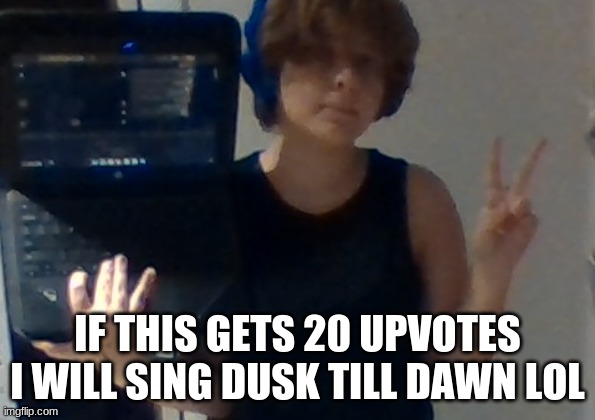 chromebook mirror selfie lmao | IF THIS GETS 20 UPVOTES I WILL SING DUSK TILL DAWN LOL | image tagged in chromebook mirror selfie lmao | made w/ Imgflip meme maker