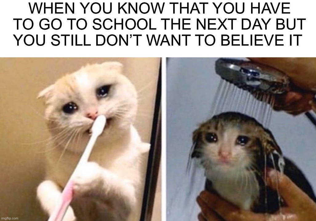 I feel this pain every day D: (except on weekends) | WHEN YOU KNOW THAT YOU HAVE TO GO TO SCHOOL THE NEXT DAY BUT YOU STILL DON’T WANT TO BELIEVE IT | image tagged in memes,funny,relatable memes,relatable,that kinda hurted me tho,lmao | made w/ Imgflip meme maker