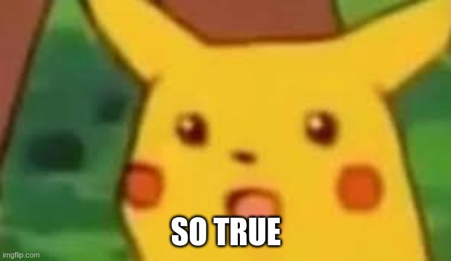So True | SO TRUE | image tagged in so true | made w/ Imgflip meme maker