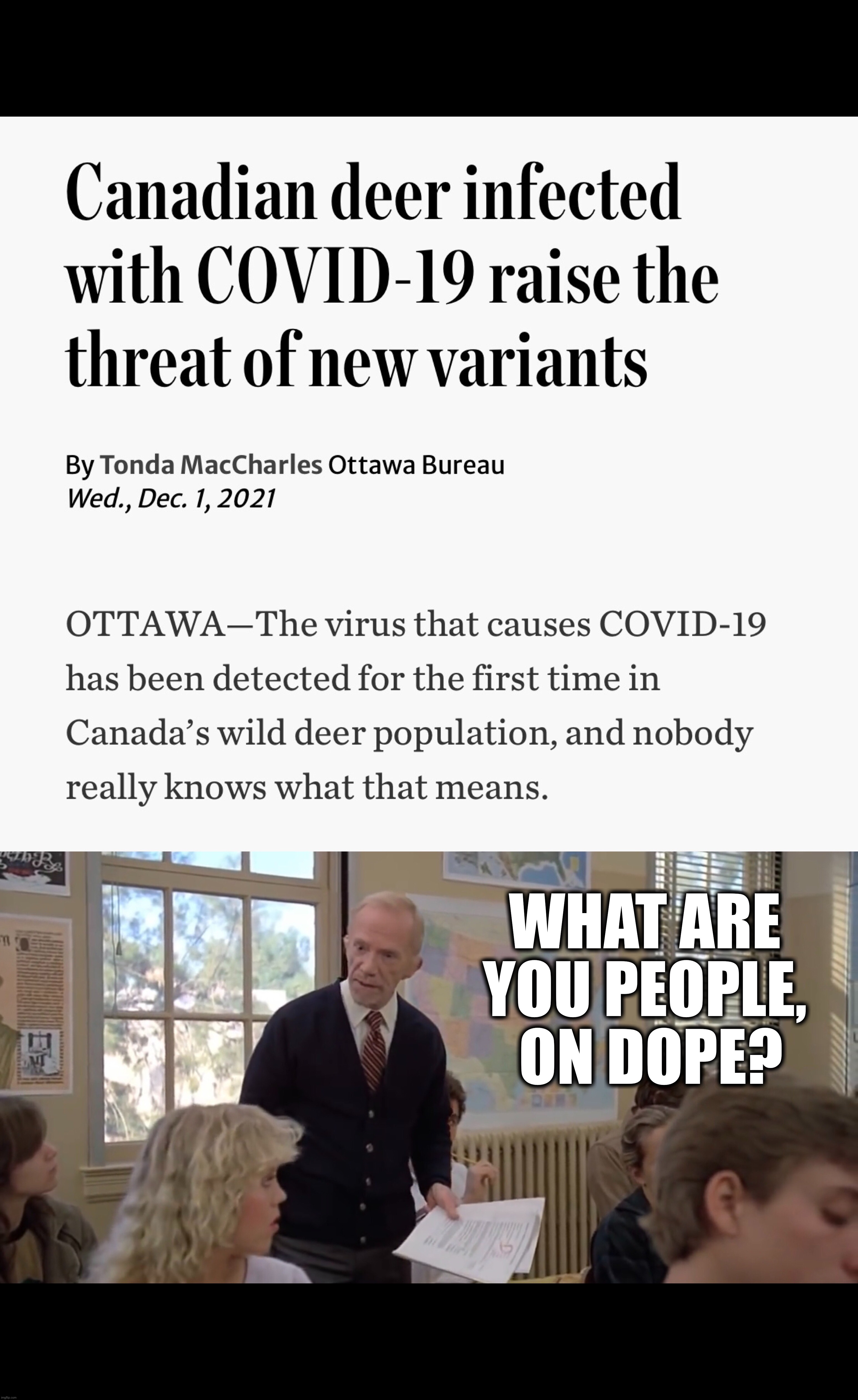 Forget Omnicron, new Rudolph variant threatens Christmas | WHAT ARE 
YOU PEOPLE, 
ON DOPE? | image tagged in covid-19,covid vaccine,new world order,funny memes,christmas,brace yourselves x is coming | made w/ Imgflip meme maker