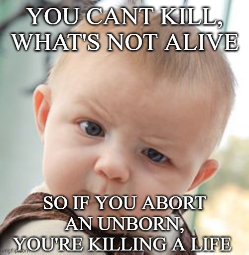 Skeptical Baby | YOU CANT KILL, WHAT'S NOT ALIVE; SO IF YOU ABORT AN UNBORN, YOU'RE KILLING A LIFE | image tagged in memes,skeptical baby | made w/ Imgflip meme maker