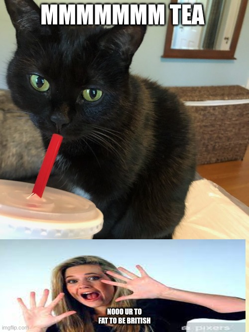 Cat drinking tea | MMMMMMM TEA; NOOO UR TO FAT TO BE BRITISH | image tagged in cat drinking tea | made w/ Imgflip meme maker