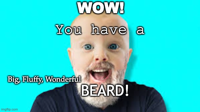 Could someone please tell me how to colour texts? |  WOW! You have a; BEARD! Big, Fluffy, Wonderful | image tagged in beard | made w/ Imgflip meme maker