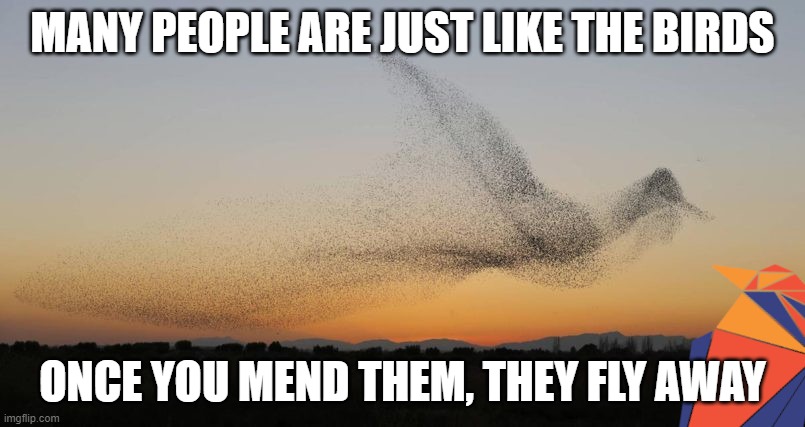 flock | MANY PEOPLE ARE JUST LIKE THE BIRDS; ONCE YOU MEND THEM, THEY FLY AWAY | image tagged in flock | made w/ Imgflip meme maker