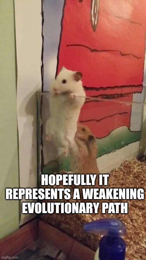 Escape hamsters | HOPEFULLY IT REPRESENTS A WEAKENING EVOLUTIONARY PATH | image tagged in escape hamsters | made w/ Imgflip meme maker