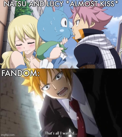 Fairy Tail Meme NaLu | NATSU AND LUCY *ALMOST KISS*; FANDOM: | image tagged in fairy tail,fairy tail meme,nalu,anime meme,fandom,memes | made w/ Imgflip meme maker