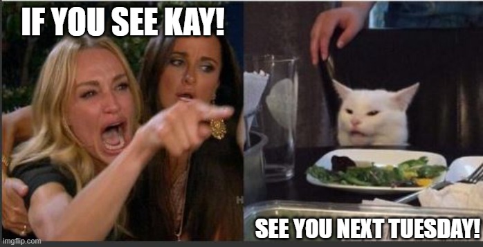 woman yelling at cat without white top | IF YOU SEE KAY! SEE YOU NEXT TUESDAY! | image tagged in woman yelling at cat without white top | made w/ Imgflip meme maker