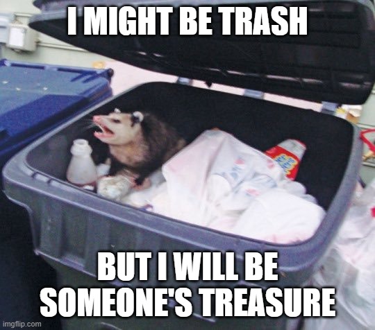 Trash Possum | I MIGHT BE TRASH BUT I WILL BE SOMEONE'S TREASURE | image tagged in trash possum | made w/ Imgflip meme maker