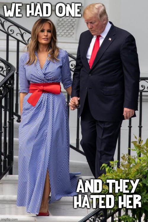A Stylish, Self-made, Bilingual Woman's Woman, a good mother | WE HAD ONE; AND THEY HATED HER | image tagged in vince vance,melania trump,first lady,flotus,memes,president trump | made w/ Imgflip meme maker