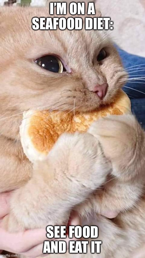 Cat eating bread | I’M ON A SEAFOOD DIET:; SEE FOOD AND EAT IT | image tagged in cat eating bread | made w/ Imgflip meme maker