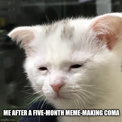 I'm back | ME AFTER A FIVE-MONTH MEME-MAKING COMA | image tagged in i'm awake but at what cost,memes | made w/ Imgflip meme maker
