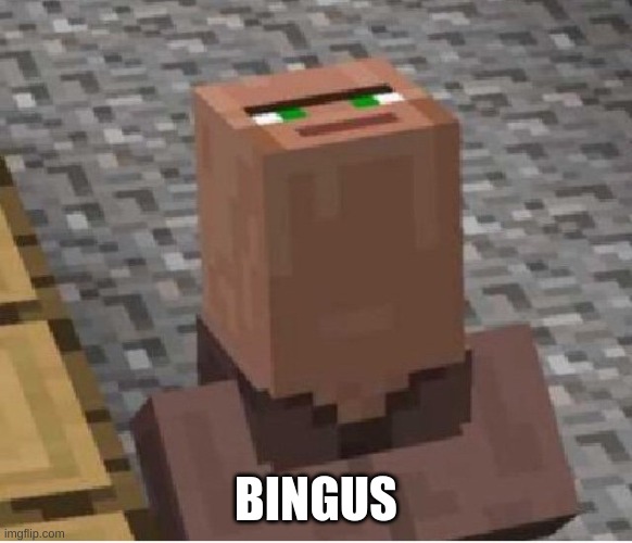 Minecraft Villager Looking Up | BINGUS | image tagged in minecraft villager looking up | made w/ Imgflip meme maker