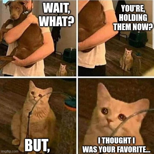 Sad Cat Holding Dog | YOU'RE, HOLDING THEM NOW? WAIT, WHAT? BUT, I THOUGHT I WAS YOUR FAVORITE... | image tagged in sad cat holding dog,sad cat | made w/ Imgflip meme maker