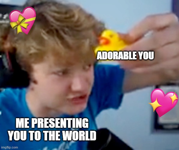 Ducky ❤️ | ADORABLE YOU; ME PRESENTING YOU TO THE WORLD | image tagged in tommyinnit | made w/ Imgflip meme maker