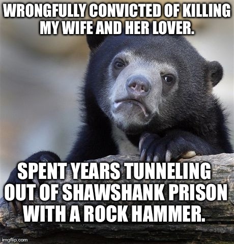 Confession Bear Meme | WRONGFULLY CONVICTED OF KILLING MY WIFE AND HER LOVER.  SPENT YEARS TUNNELING OUT OF SHAWSHANK PRISON WITH A ROCK HAMMER. | image tagged in memes,confession bear | made w/ Imgflip meme maker