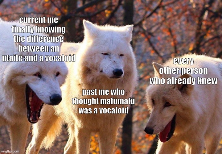 2/3 wolves laugh | current me finally knowing the difference between an utaite and a vocaloid; every other person who already knew; past me who thought mafumafu was a vocaloid | image tagged in 2/3 wolves laugh | made w/ Imgflip meme maker