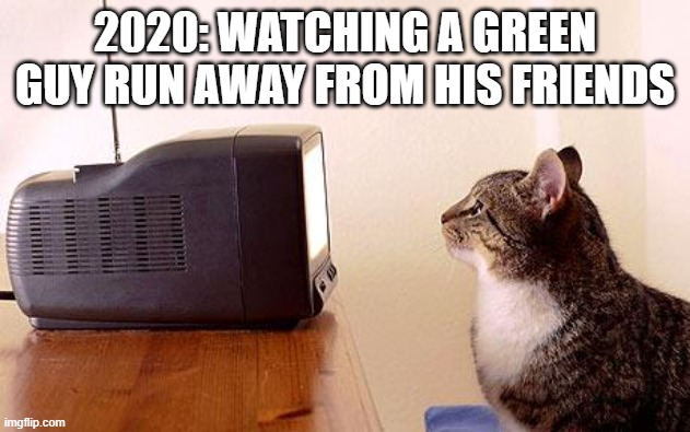 cat watching tv | 2020: WATCHING A GREEN GUY RUN AWAY FROM HIS FRIENDS | image tagged in cat watching tv | made w/ Imgflip meme maker