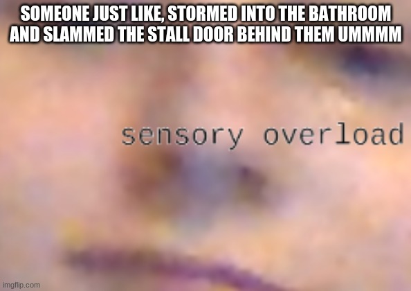 sensory overload | SOMEONE JUST LIKE, STORMED INTO THE BATHROOM AND SLAMMED THE STALL DOOR BEHIND THEM UMMMM | image tagged in sensory overload | made w/ Imgflip meme maker